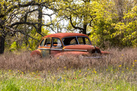Abandoned Car, Spring Flowers, North of Gonzales