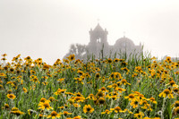 Spring Flowers, Fog, Presidio La Bahia, Goliad, Texas
