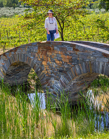 Château La Coste Winery