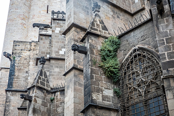 Cathedral of Barcelona