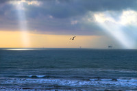 Sunburst, Coastline, Rigs and Seagull
