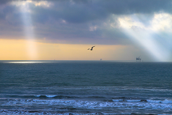 Sunburst, Coastline, Rigs and Seagull