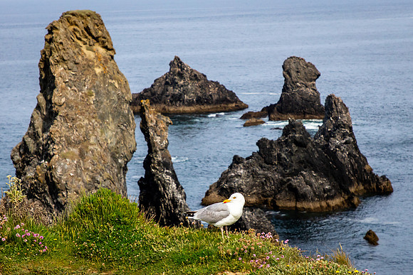 Port-Coton, Belle Ile