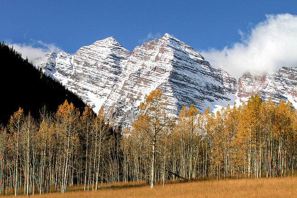 Fall Trees, Maroon Bells