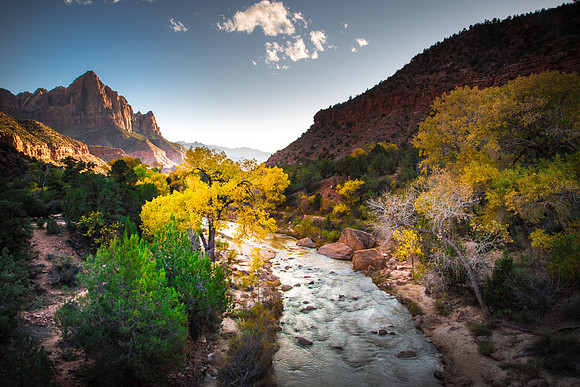The Watchman, Fall 2015