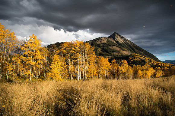 Blowing Leaves at Crested Butte Mountain