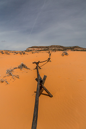 Coral Pink Sand Dunes SP, Utah