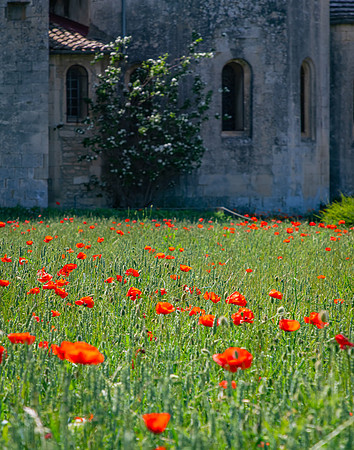 Saint Paul Monastery, St Remy