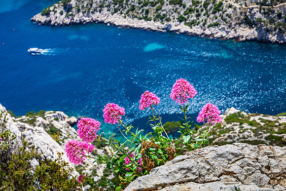Belvedere de Sugiton, Calanques