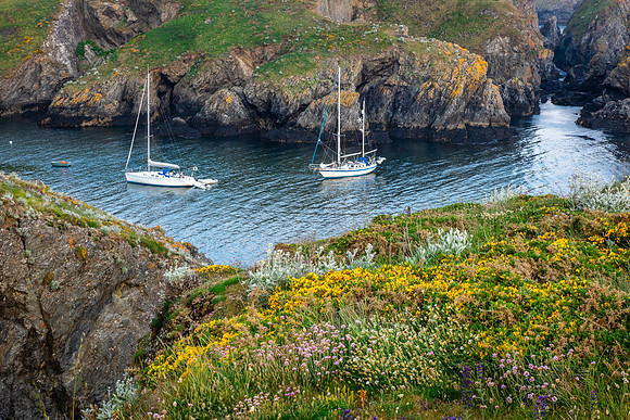 Harbor View, Belle ile