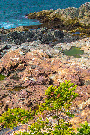 Maine Coastline, Acadia NP