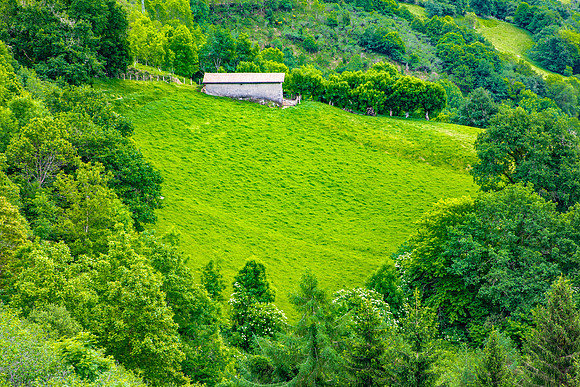 Basque Country