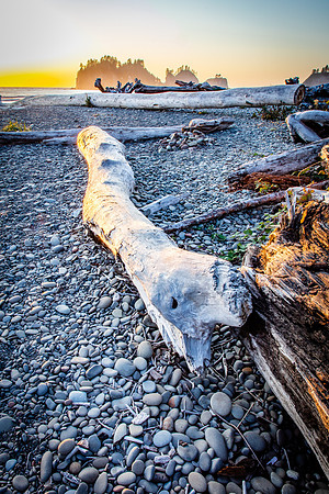 First Beach, La Push