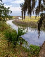 Wetlands, Jekyll Island, GA
