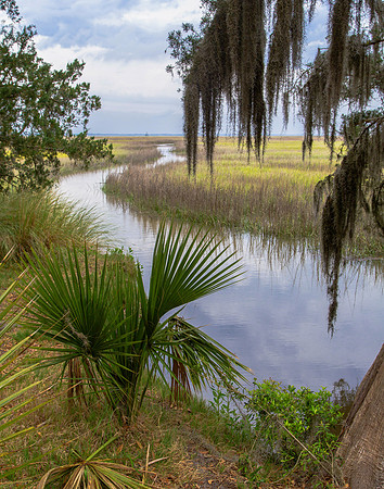 Wetlands, Jekyll Island, GA