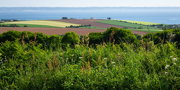 Countryside, Crozon