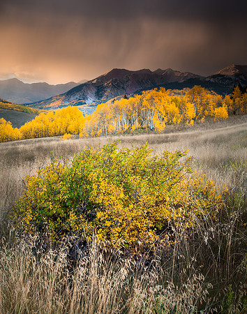 Elk Mountains and Golden Aspen, Colorado