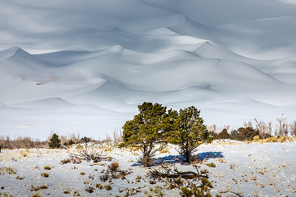 Great Sand Dunes NP in Snow