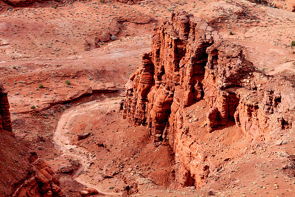 Canyonlands Cliff, Needles Overlook Area