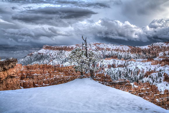 Bryce Canyon with First Snow