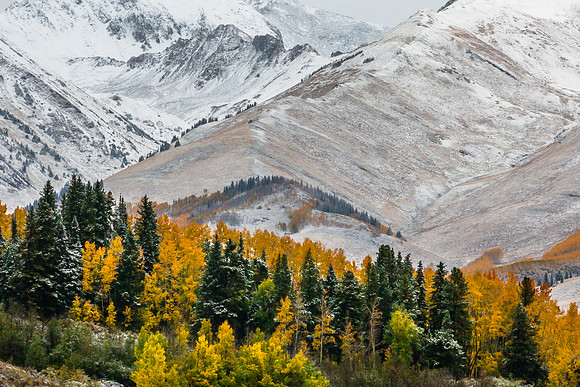 Mountain Detail, Late Fall, Elk Mountains, Colorado