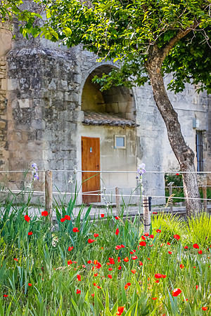 Saint Paul Monastery, St Remy