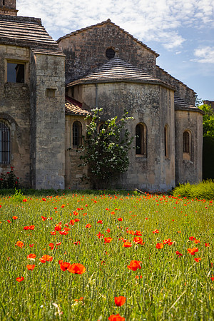 Saint Paul Monastery, St Remy