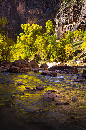 Light in the Canyon, Zion NP