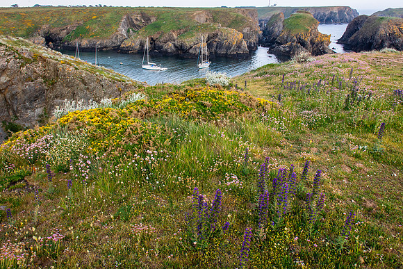 Harbor View, Belle ile