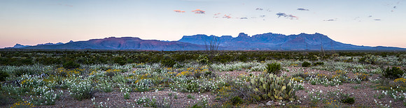 Panorama, First Light, Chisos Mountains, Big Bend NP