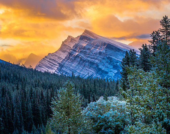 Golden Sunrise, Icefields Parkway, Jasper National Park