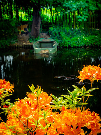 Giverny, Monet's Garden