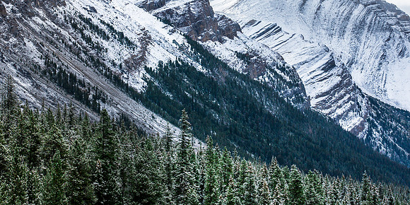 Mountain Detail, Canadian Rockies, from Icefields Parkway