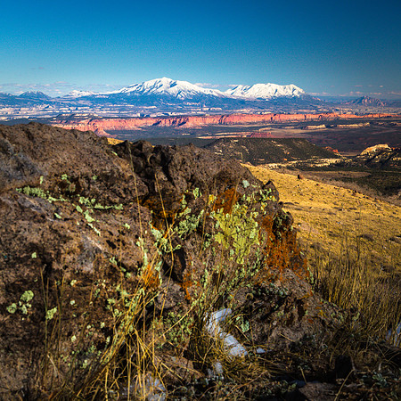 Lichen Boulder, Henry Mountains