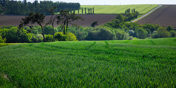 Countryside, Crozon