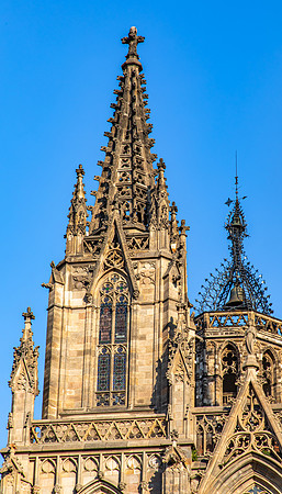 Cathedral of Barcelona