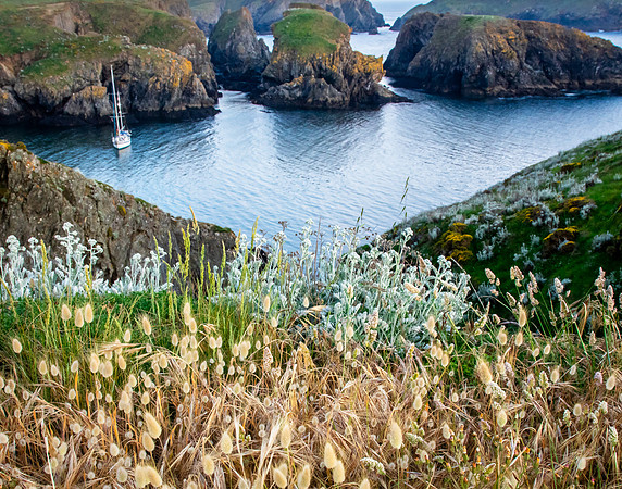 Harbor View, Belle ile
