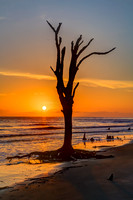Solitary Sentinel, Driftwood Beach at Sunrise, Jekyll Island