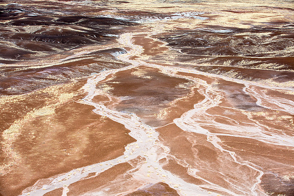 Braided Dry Creek, Cliffside View, Petrified Forest National Park