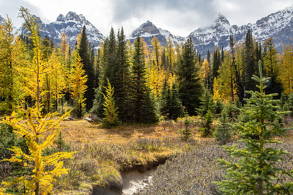 Larch Valley, Ten Peaks, Banff NP