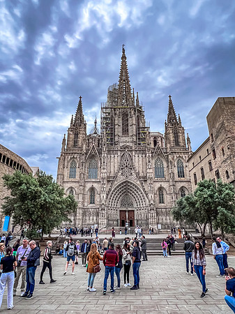 Cathedral of Barcelona