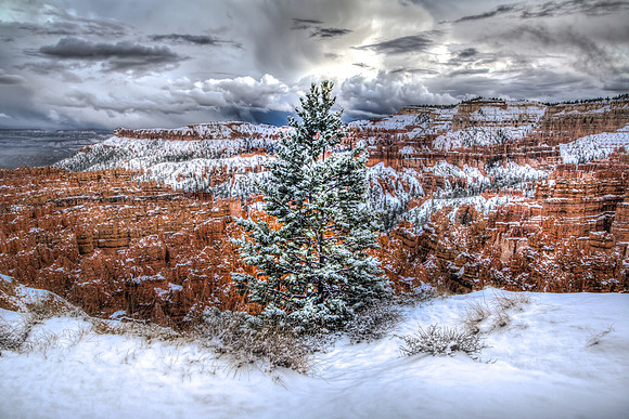 Christmas Postcard from Bryce