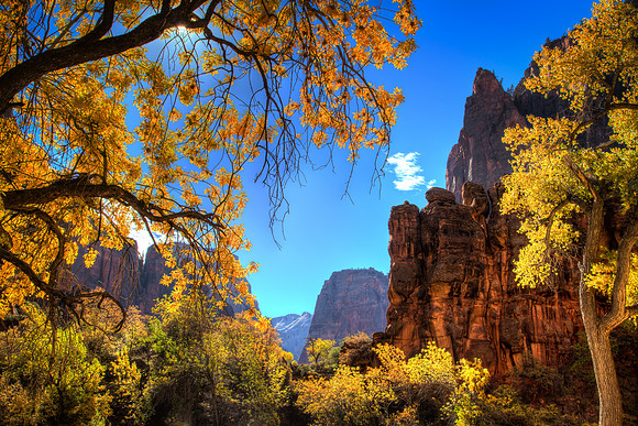 Zion NP in Fall