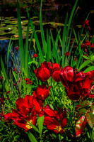 Giverny, Monet's Garden