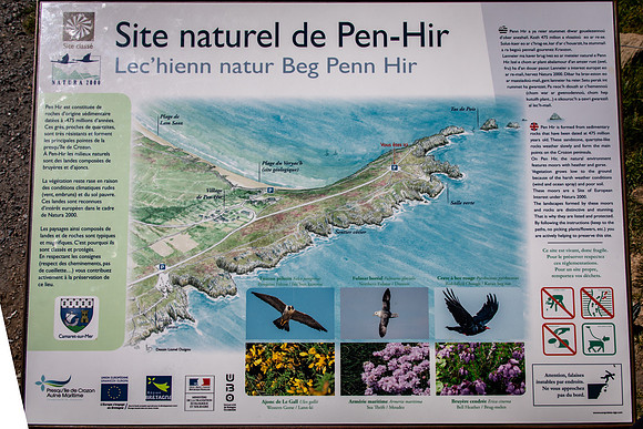 Pointe du Pen Hir, Crozon