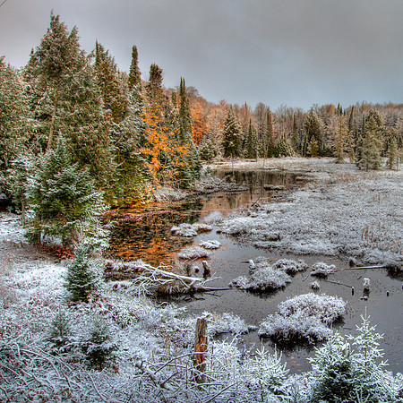 Wetlands Beauty, First Snow, Michigan UP
