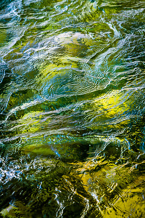 Reflected Light, Snake River, WY