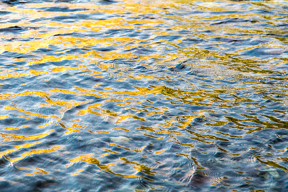 Reflected Light, Snake River, WY