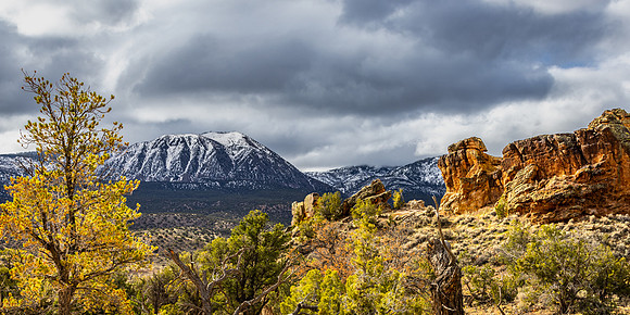 Canyon of the Ancients National Monument
