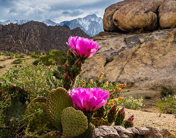 Alabama Hills